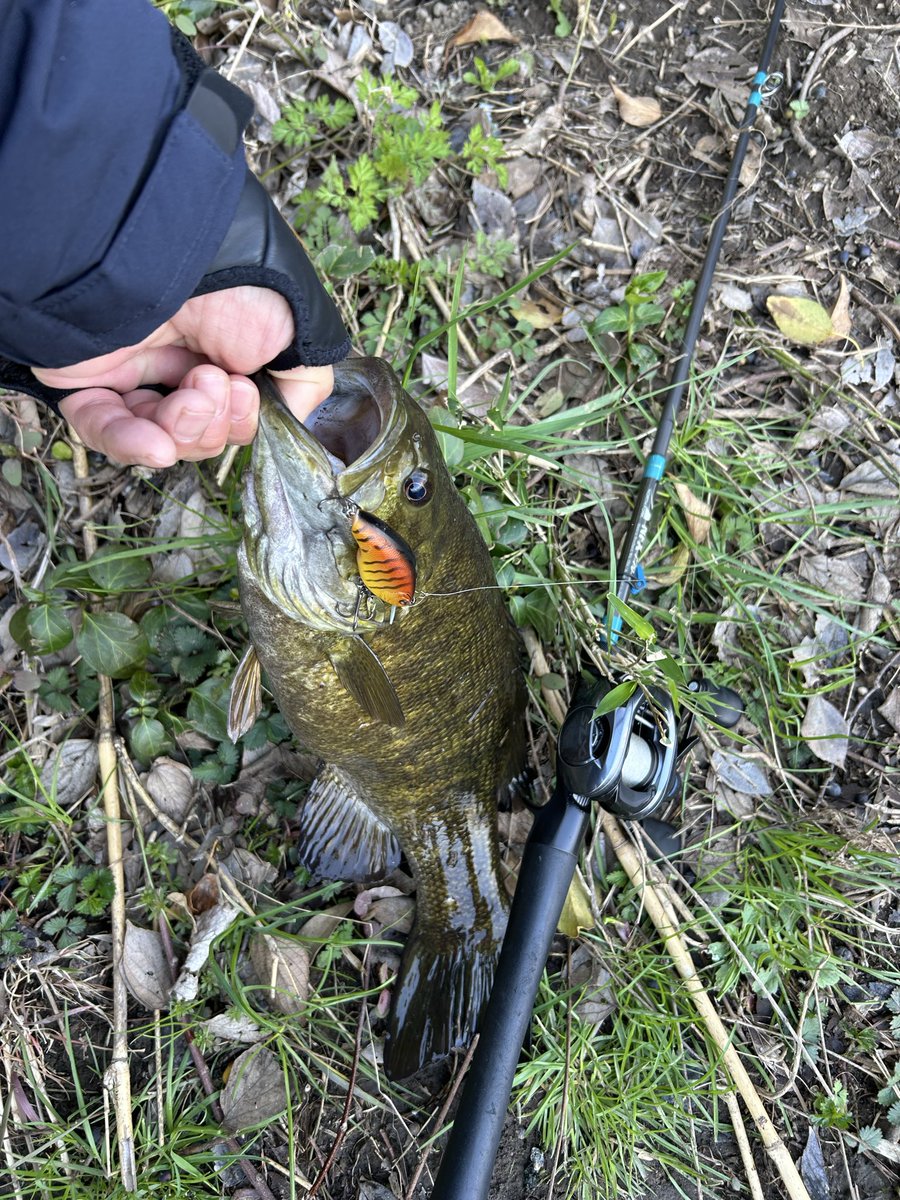 ランパードレジェンド tweet media