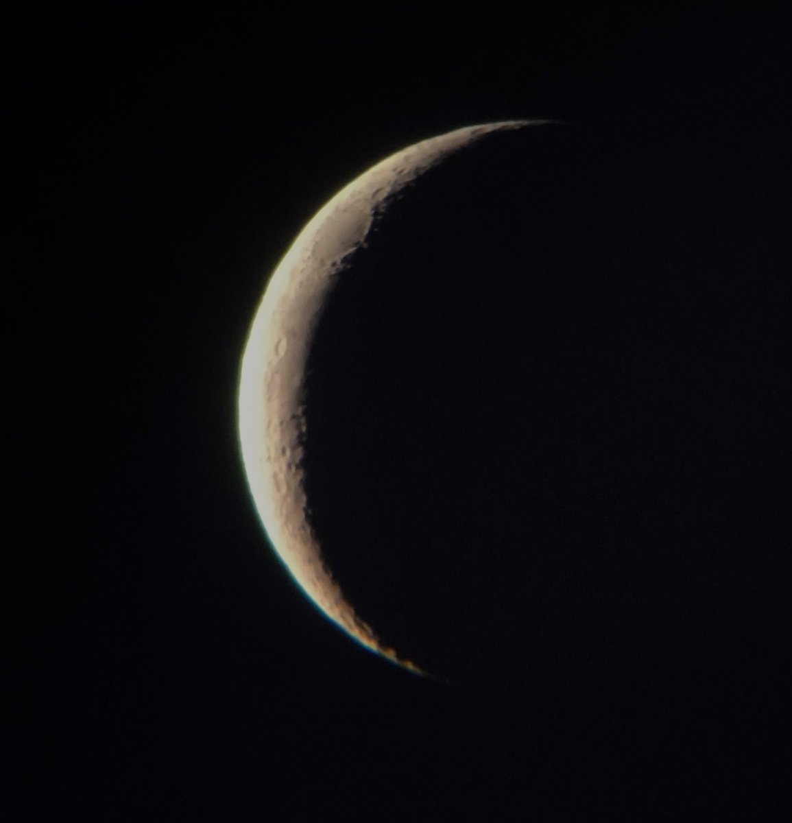 Conrado Bertorello tweet media