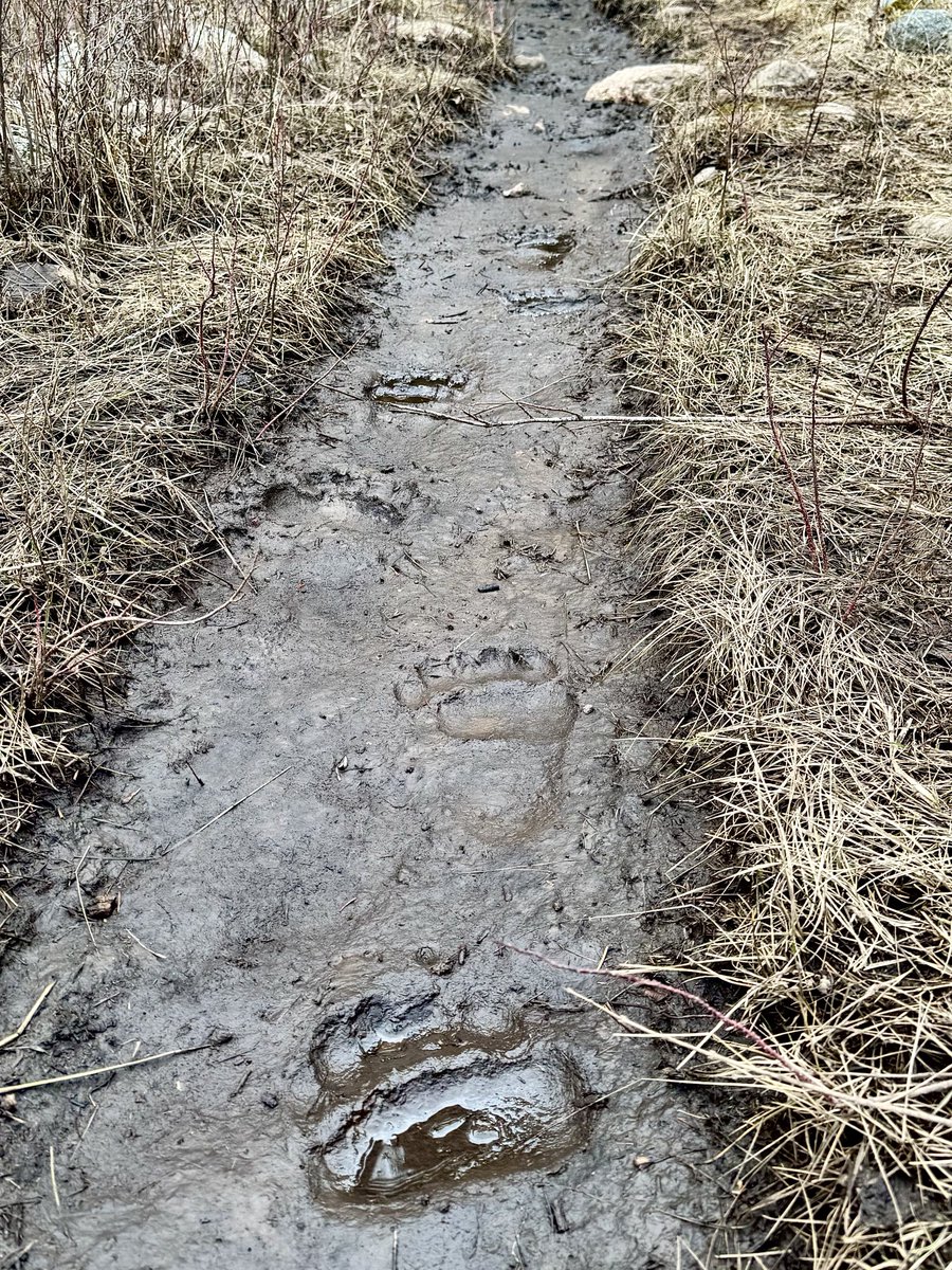 D. Scott tweet media