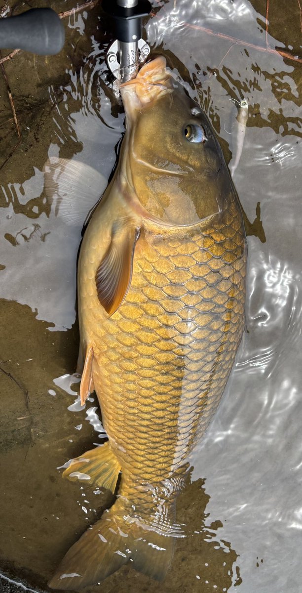 ®️ade tweet media