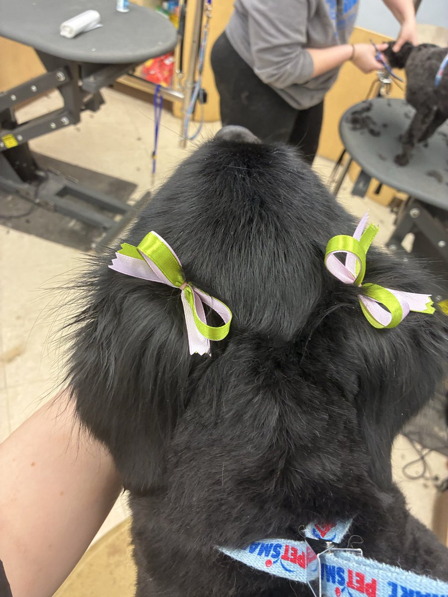 aaron 𐂂 tweet media