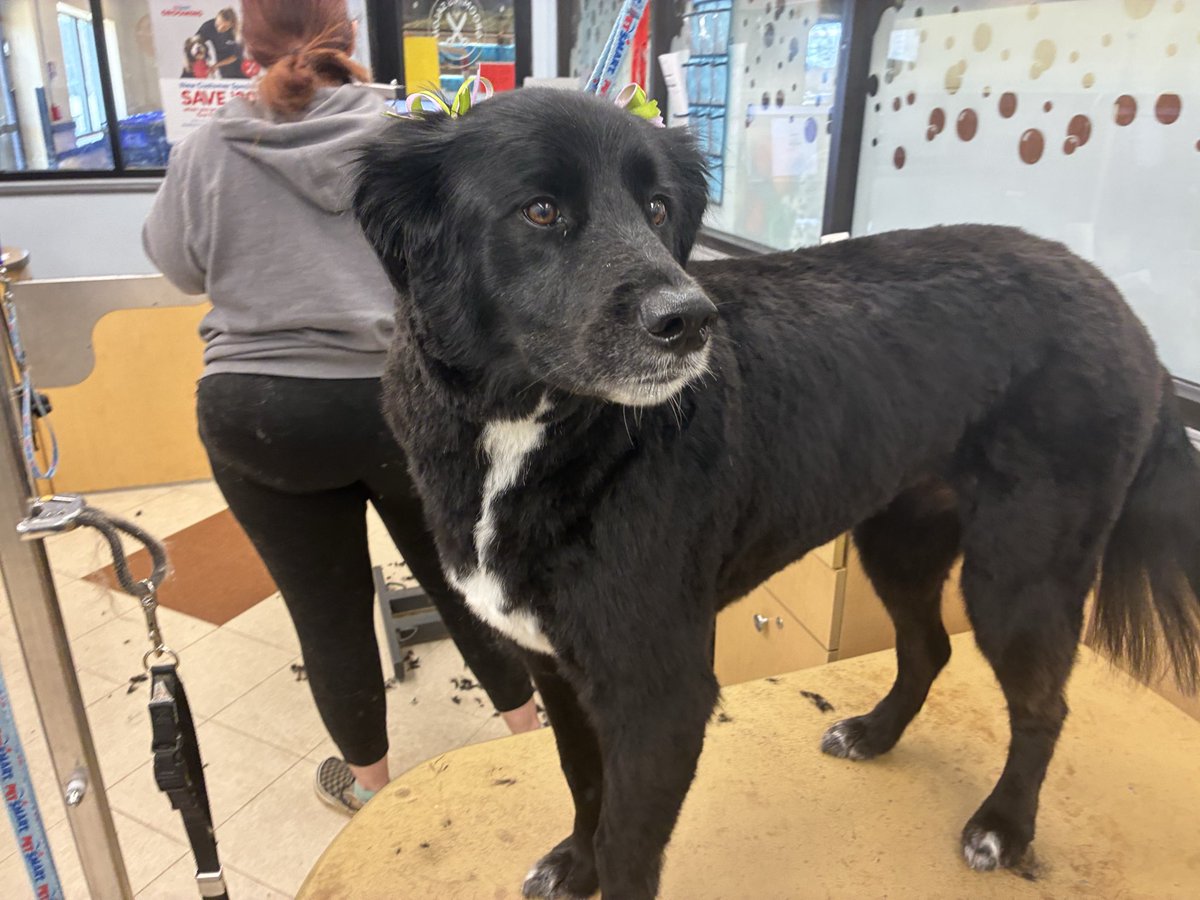 aaron 𐂂 tweet media