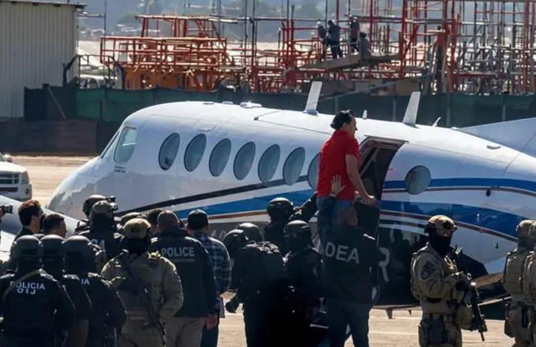 Edgar Fonseca tweet media