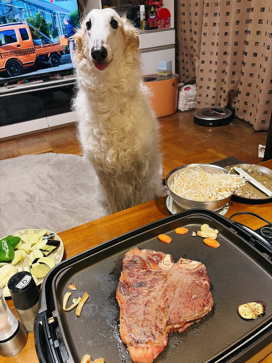 がんぼるぞい®︎ 💪🐶✨borzoi ボルゾイ tweet media