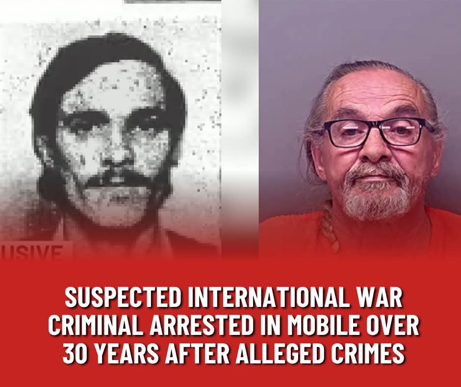 Free:dom tweet media