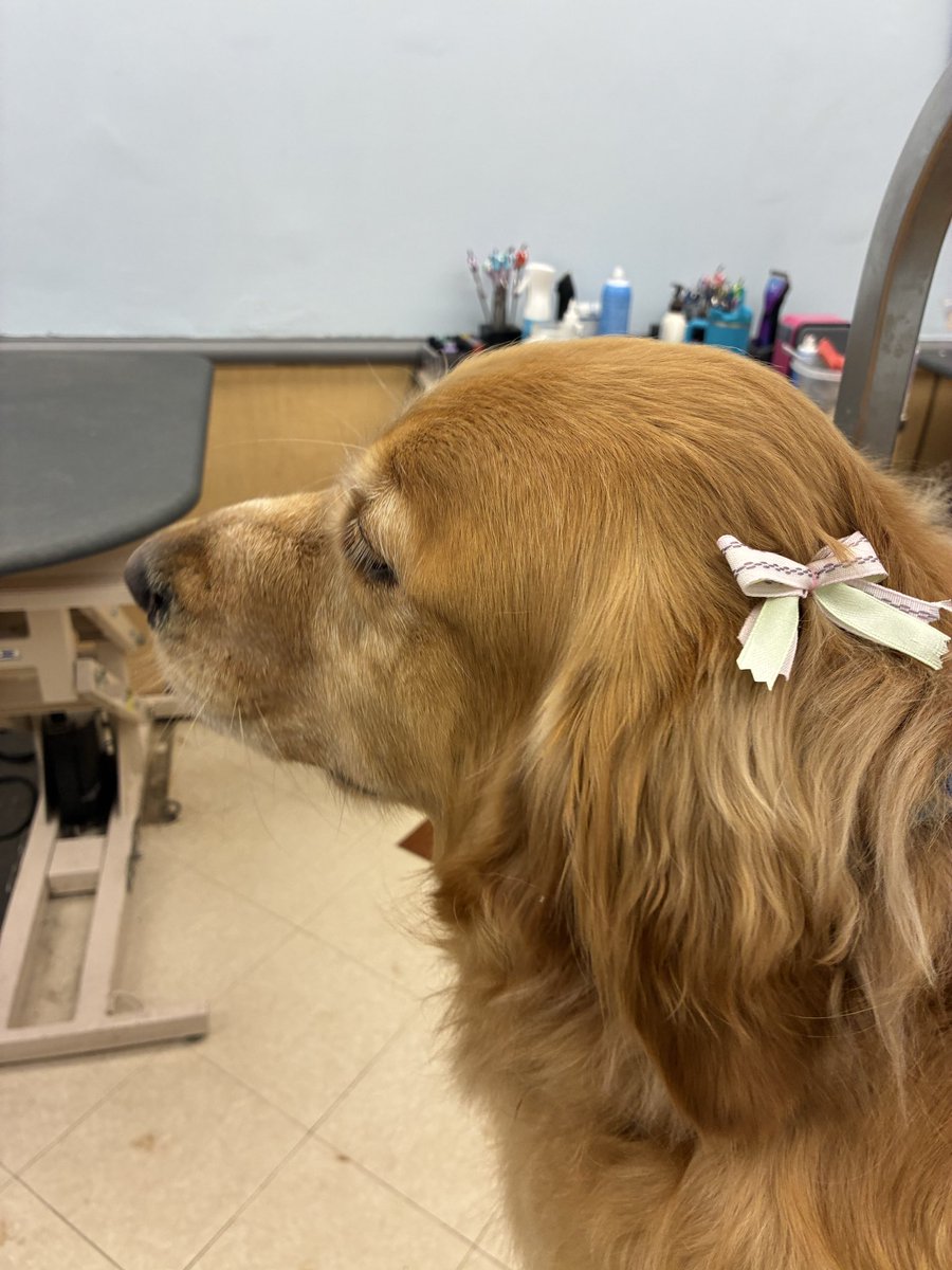 aaron 𐂂 tweet media