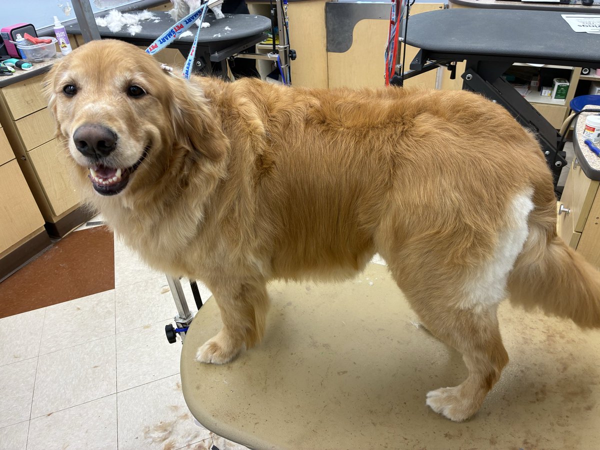 aaron 𐂂 tweet media