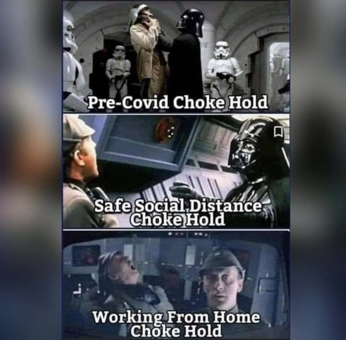 janewells tweet media