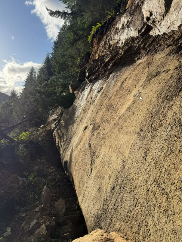 WSDOT North tweet media