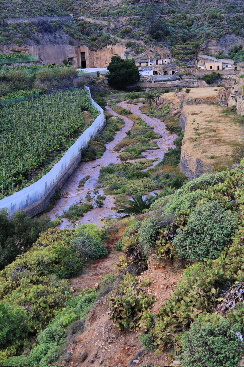 Airam Da Veiga tweet media