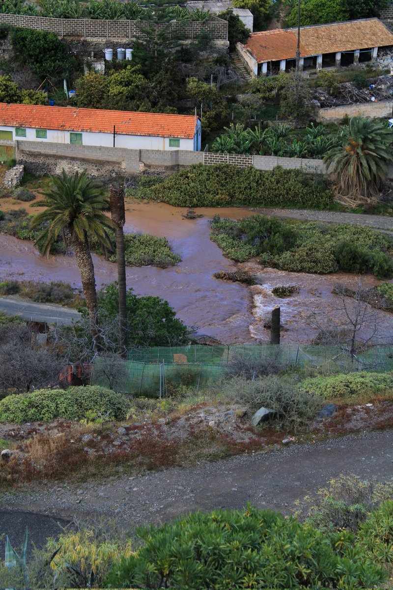 Airam Da Veiga tweet media