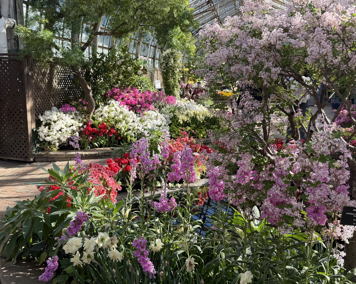 Ricky 🫑🍵 tweet media