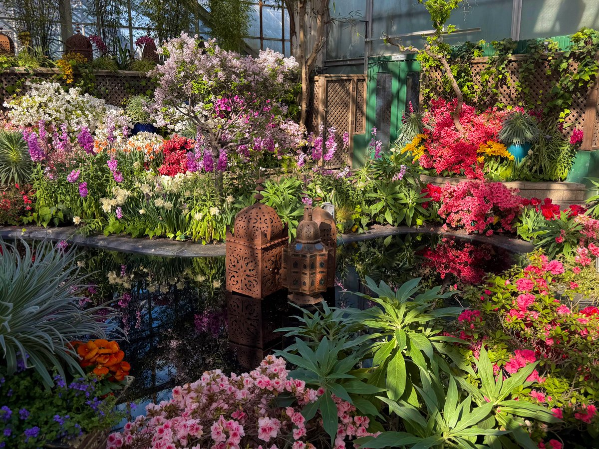 Ricky 🫑🍵 tweet media