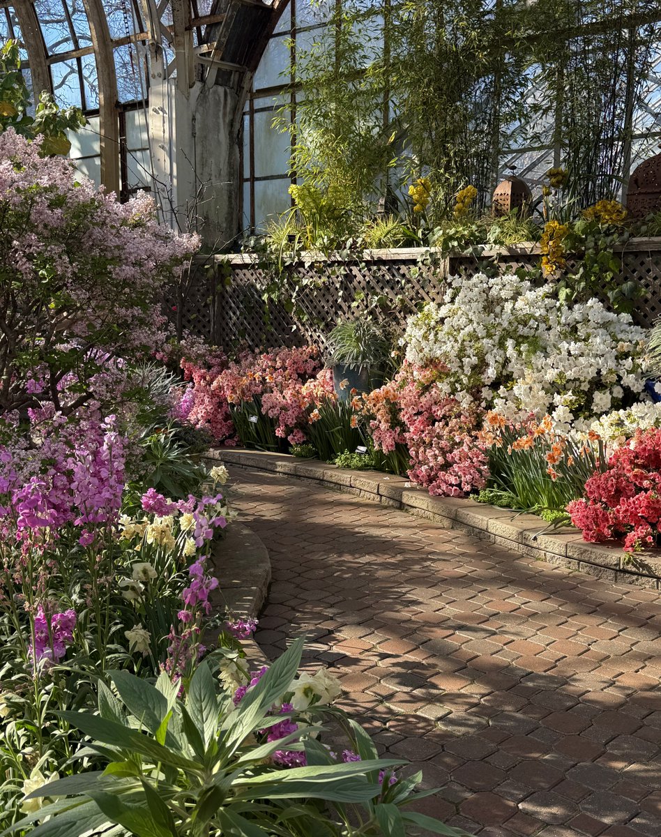 Ricky 🫑🍵 tweet media