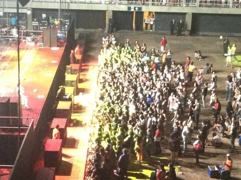 chinchila 🧙♀️ tweet media