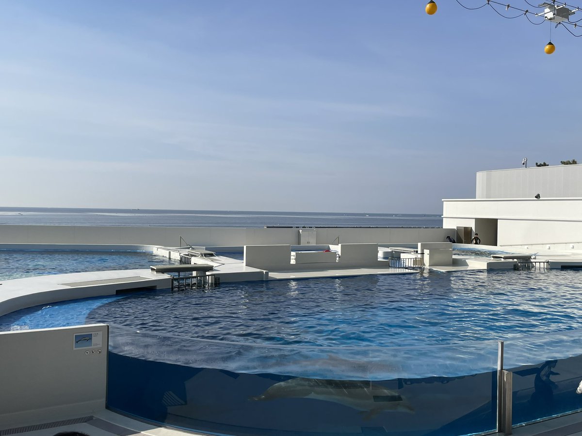 ゆうき tweet media