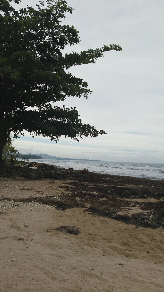 ౨ৎ ִֶָJe tweet media