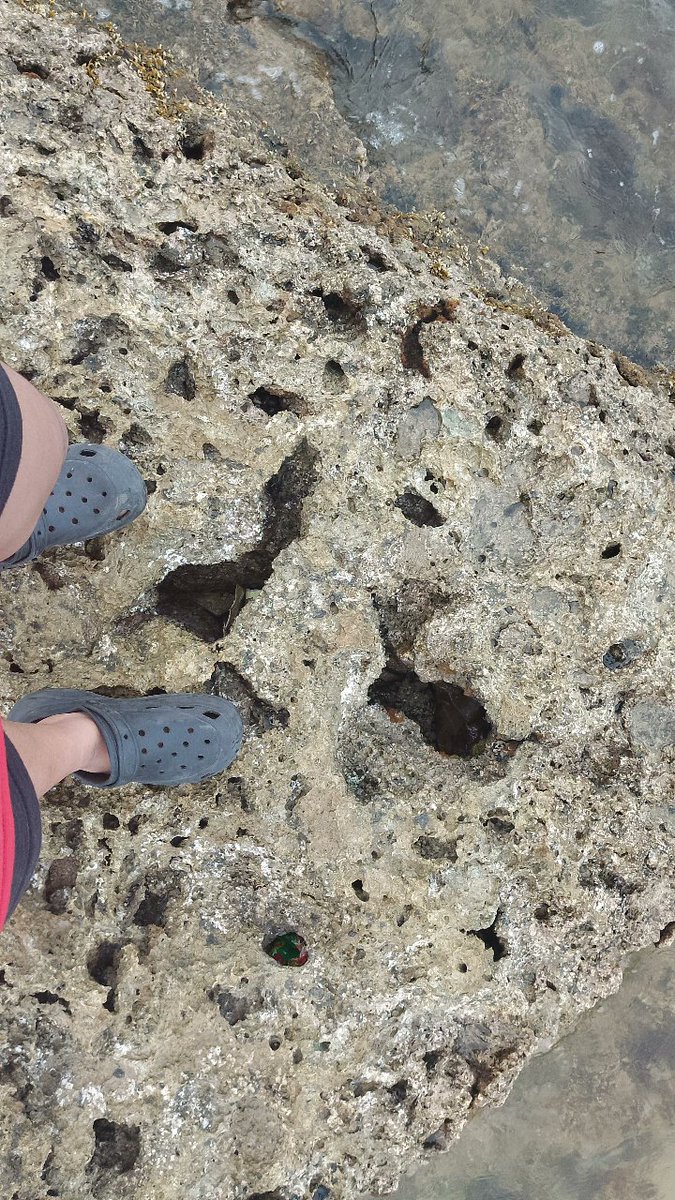 ౨ৎ ִֶָJe tweet media