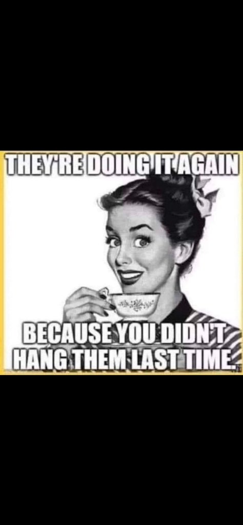 Yosemite Sam! tweet media