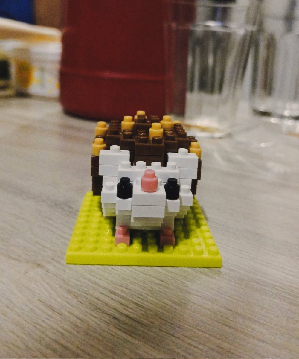 7TH YEAR: Ky 🎼 tweet media