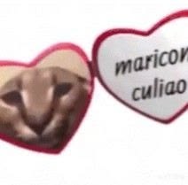 cata ⋆˚𝜗𝜚˚⋆ tweet media