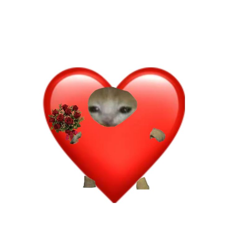 Alex ✧⁠*｡ tweet media