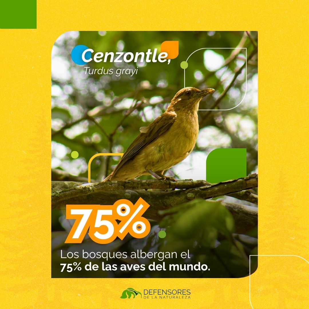 Defensores de la Naturaleza tweet media