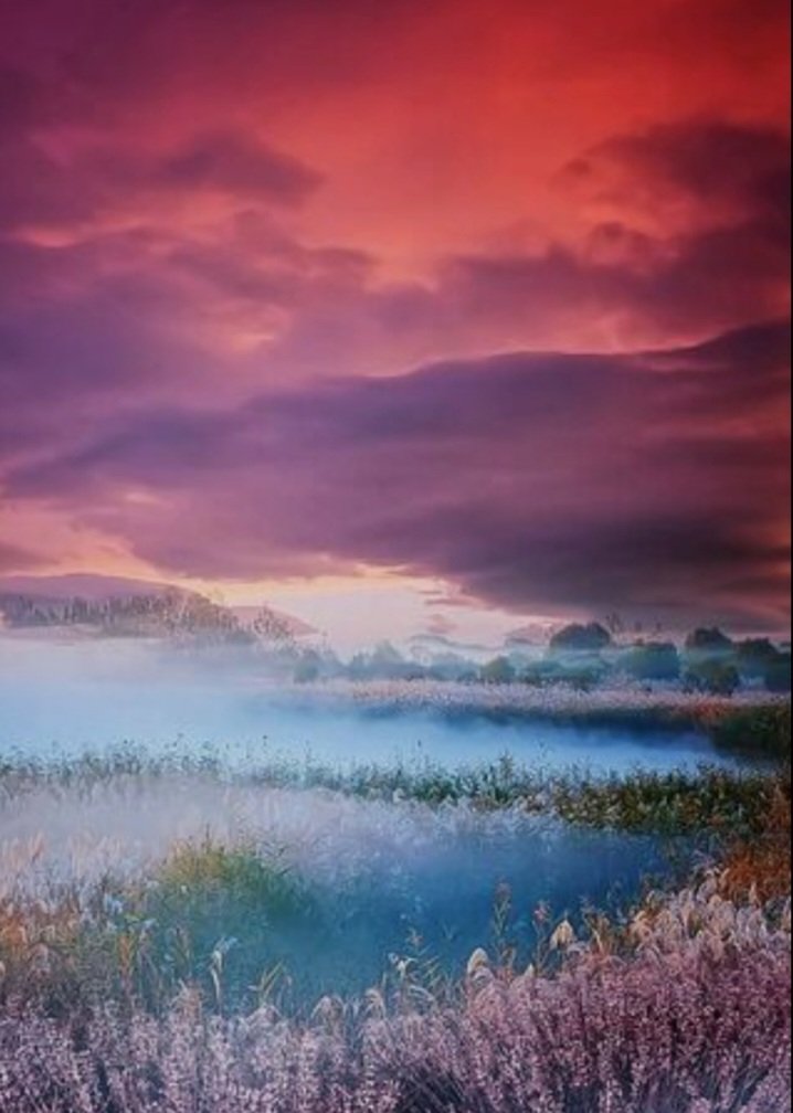 لاوذ לוּדֿ tweet media