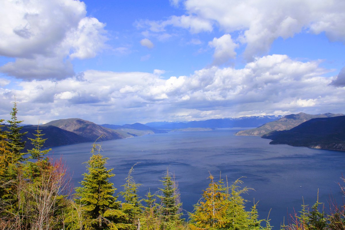 Somewhere in Idaho tweet media