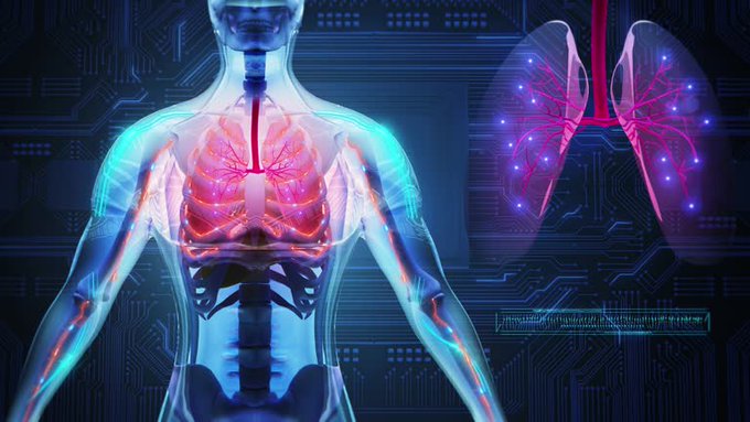 長谷川淳史 tweet media