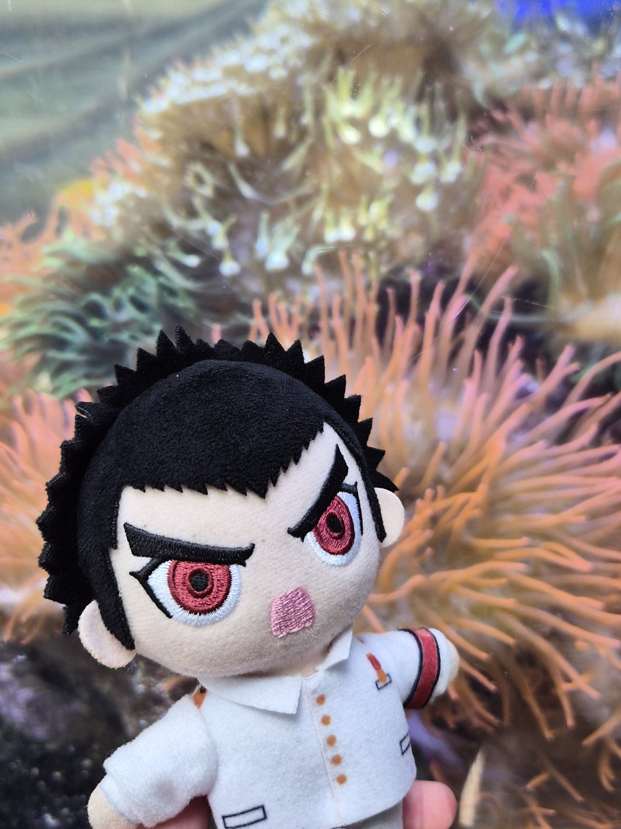 💭 of Taka... tweet media