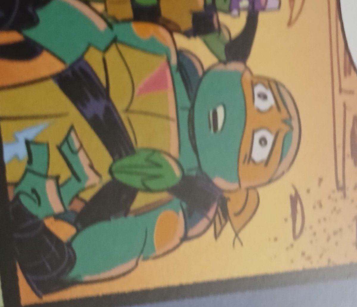 Mini 🐢 tweet media