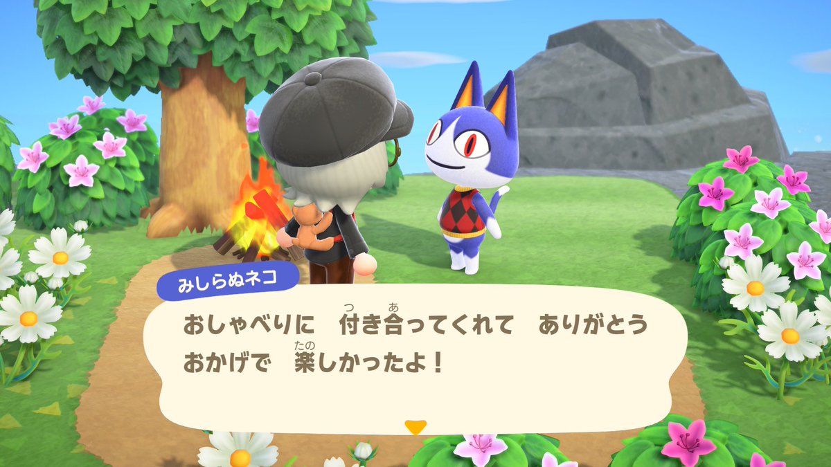 ほこｻﾝ。 tweet media