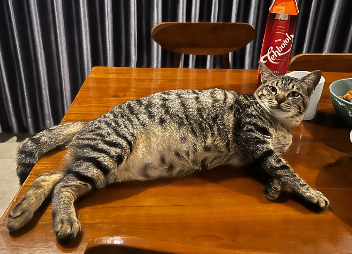 Rin | 🎈#1312 tweet media