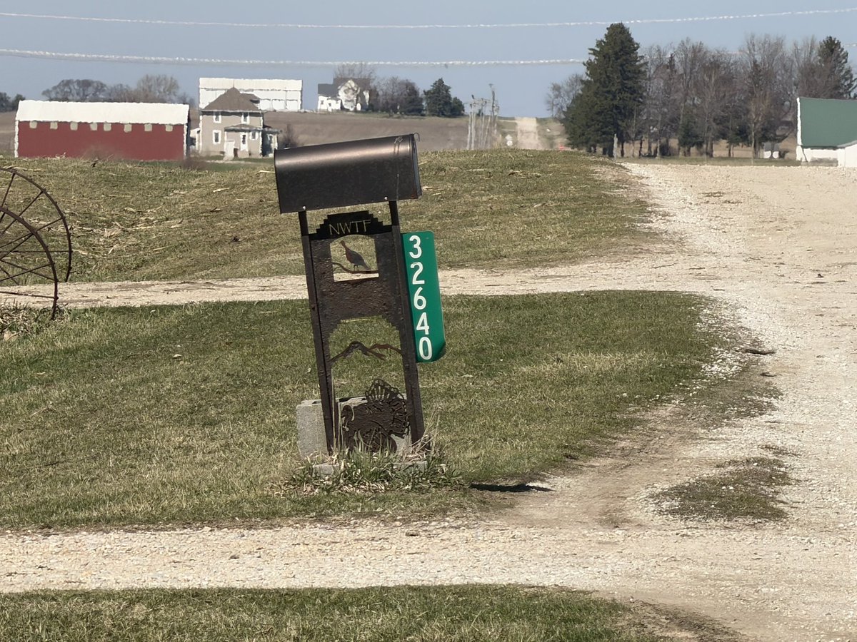 Trent 🇺🇸 tweet media