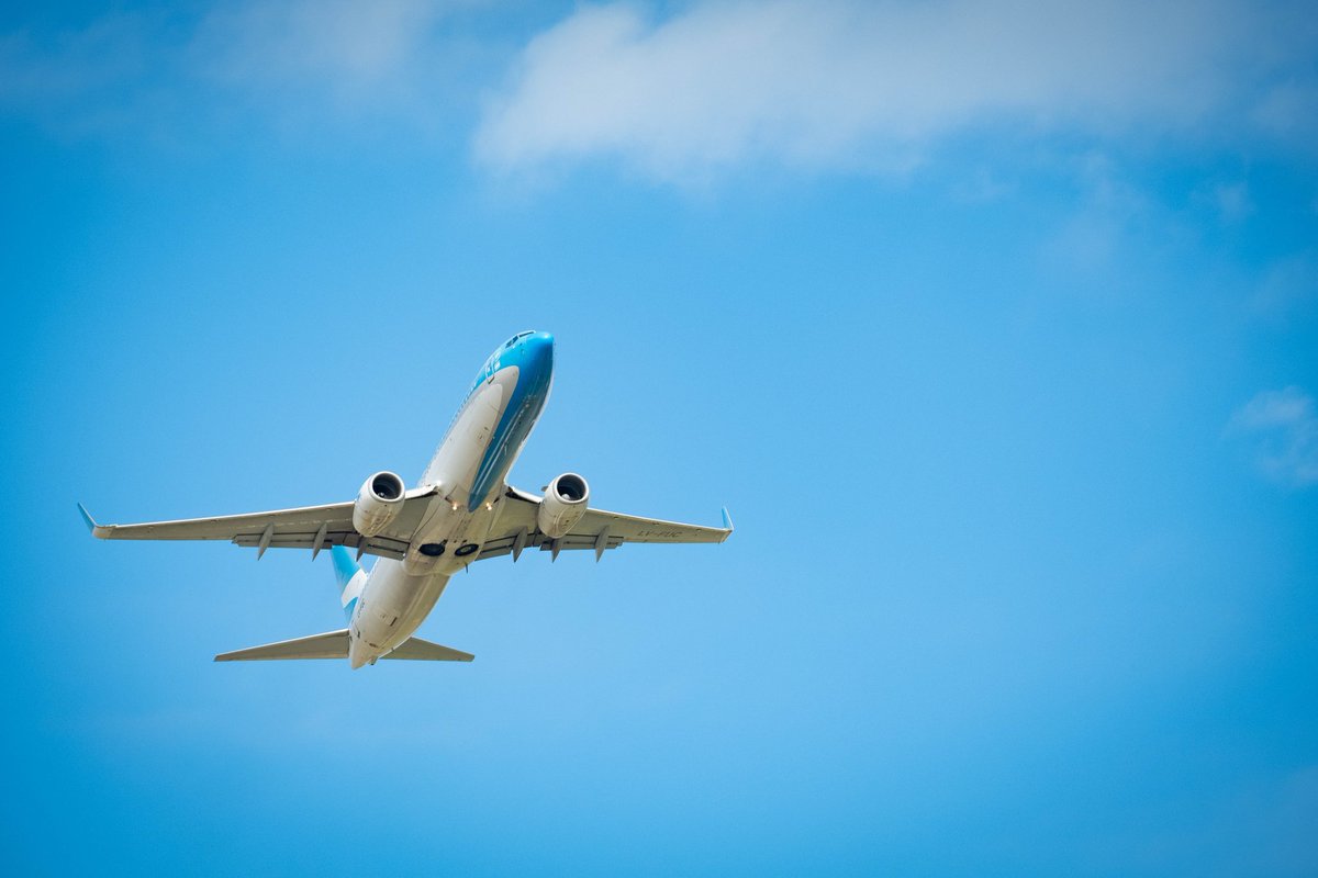 Sir Voodoo tweet media