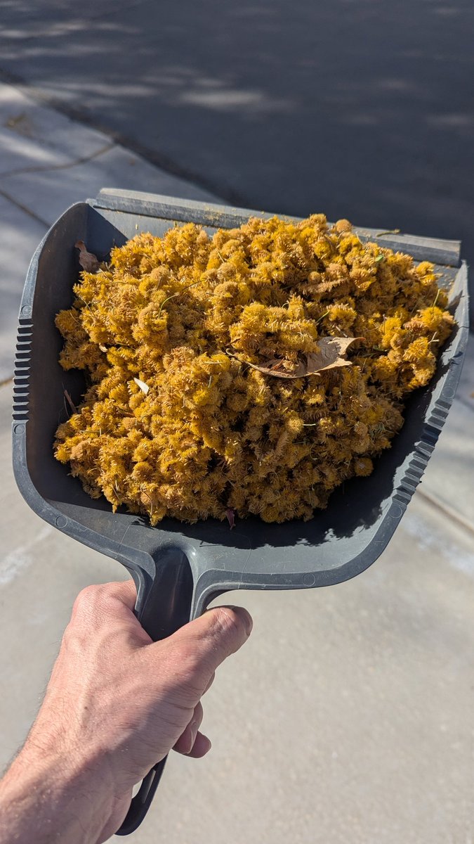 darkmudzik tweet media