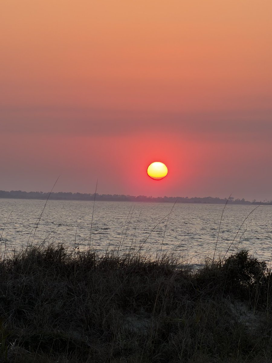 Sean Reed tweet media