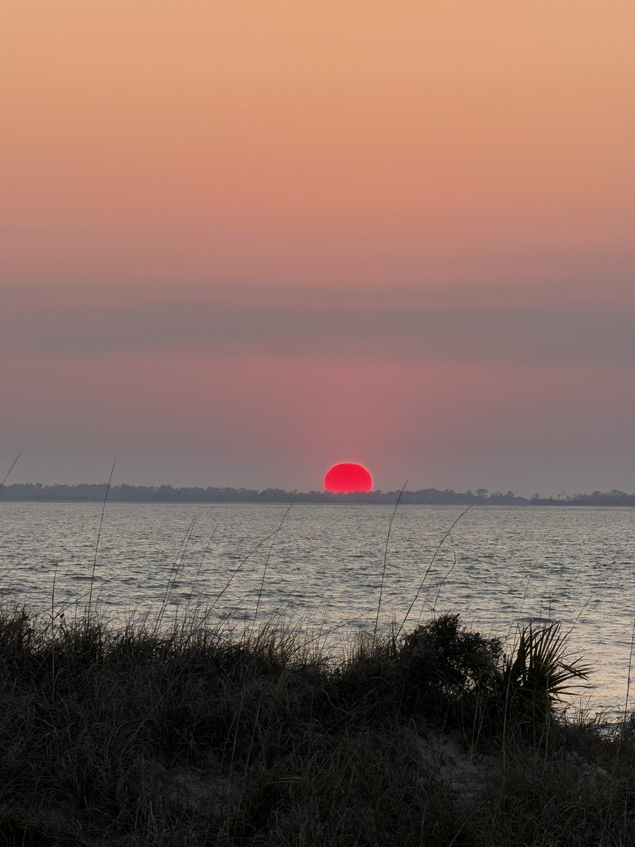 Sean Reed tweet media