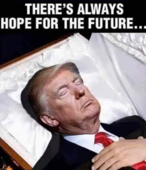 Gloria DeGeorge tweet media