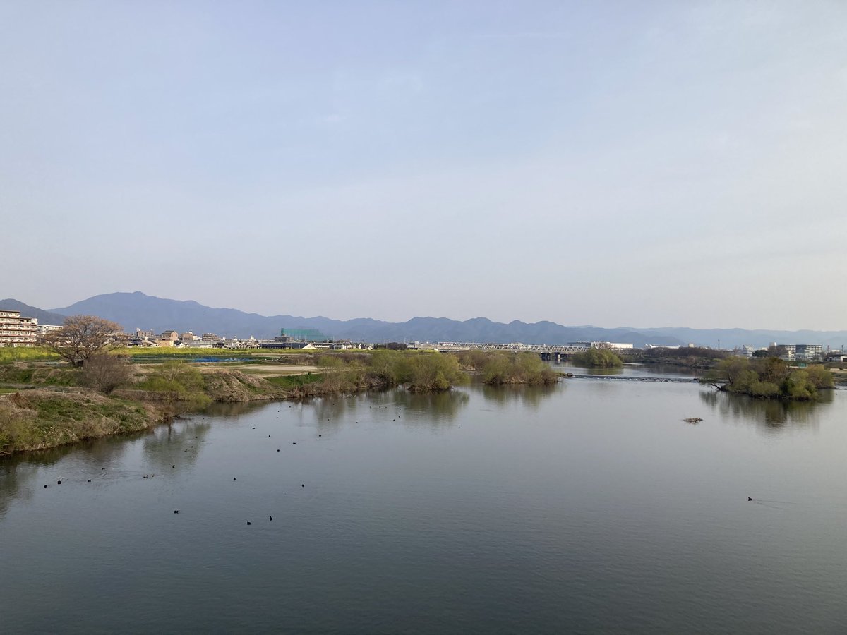 ジンノユーイチ ＠京都の税理士 tweet media