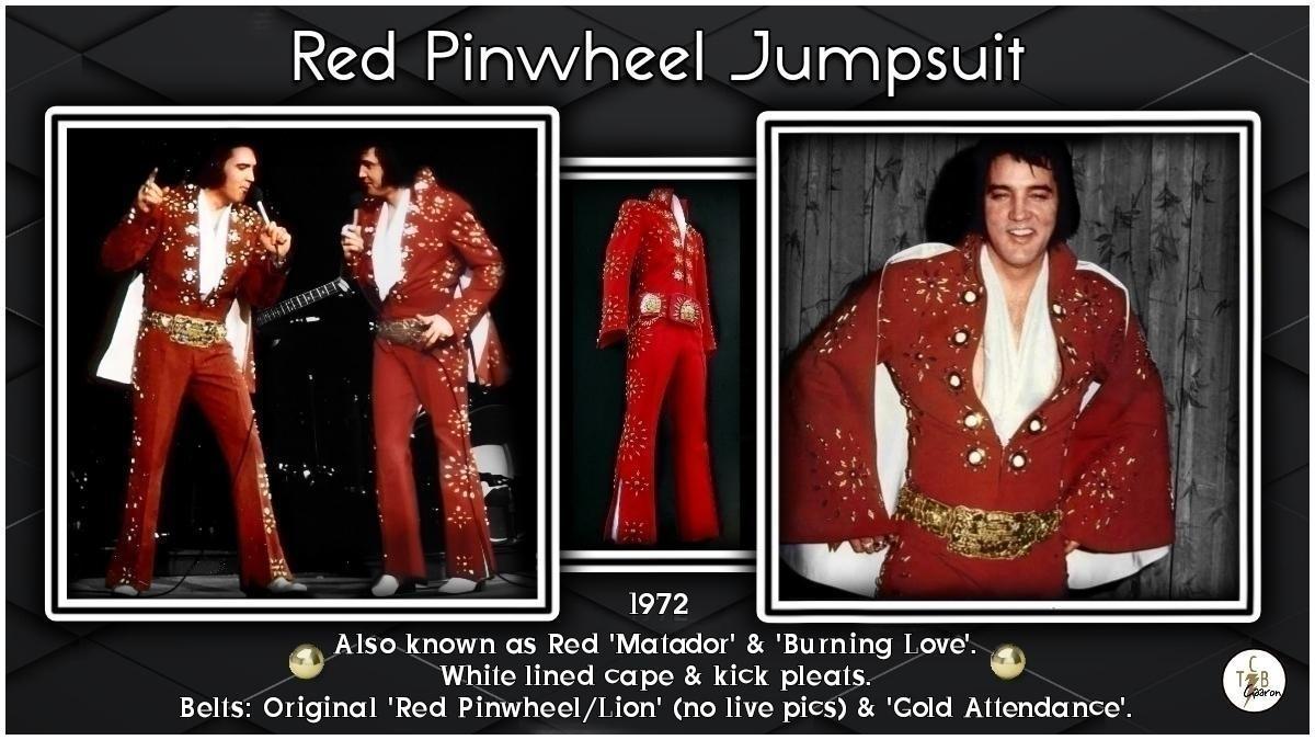 Elizabeth Macpherson tweet media