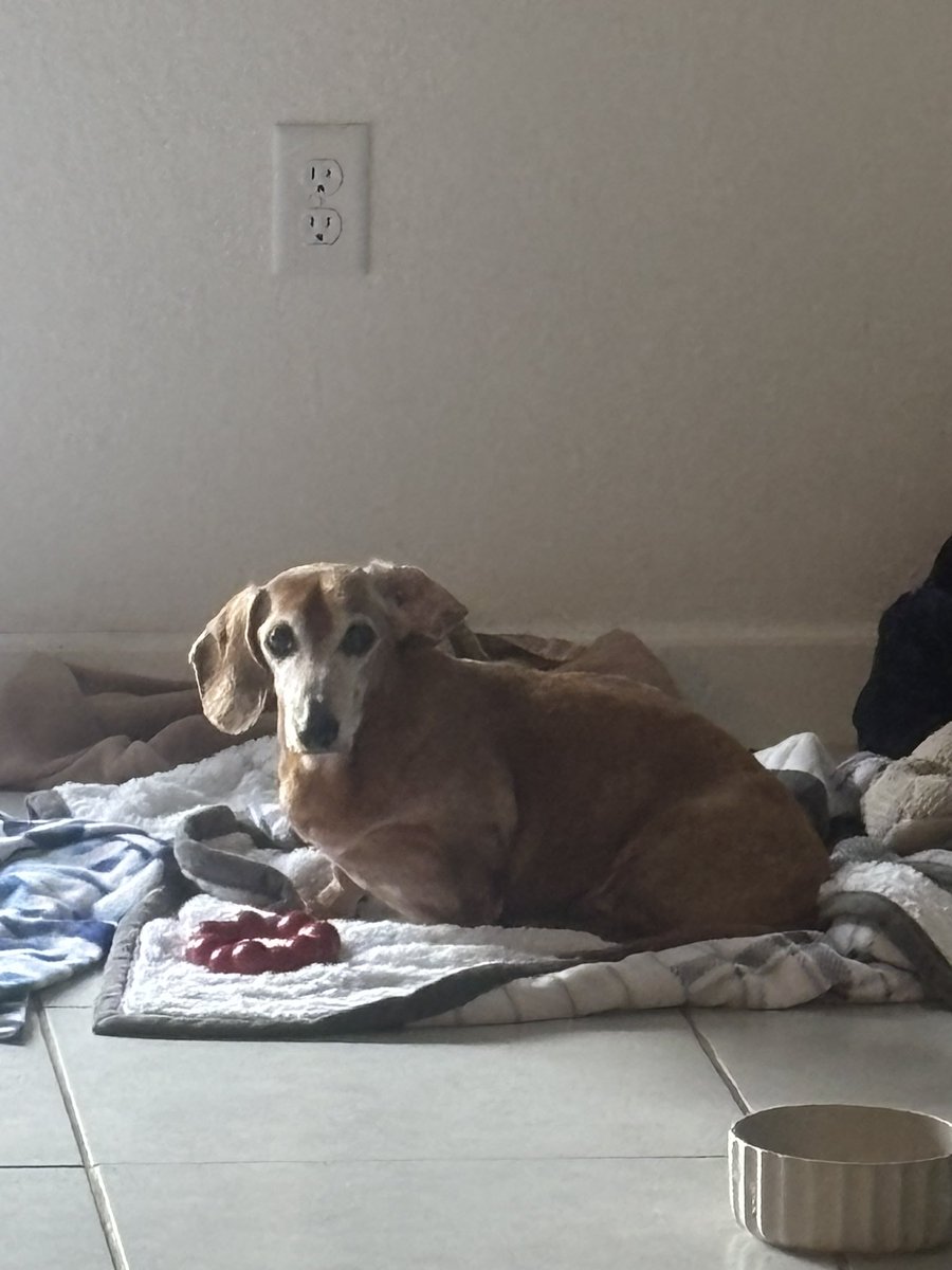 Jana❤️ tweet media