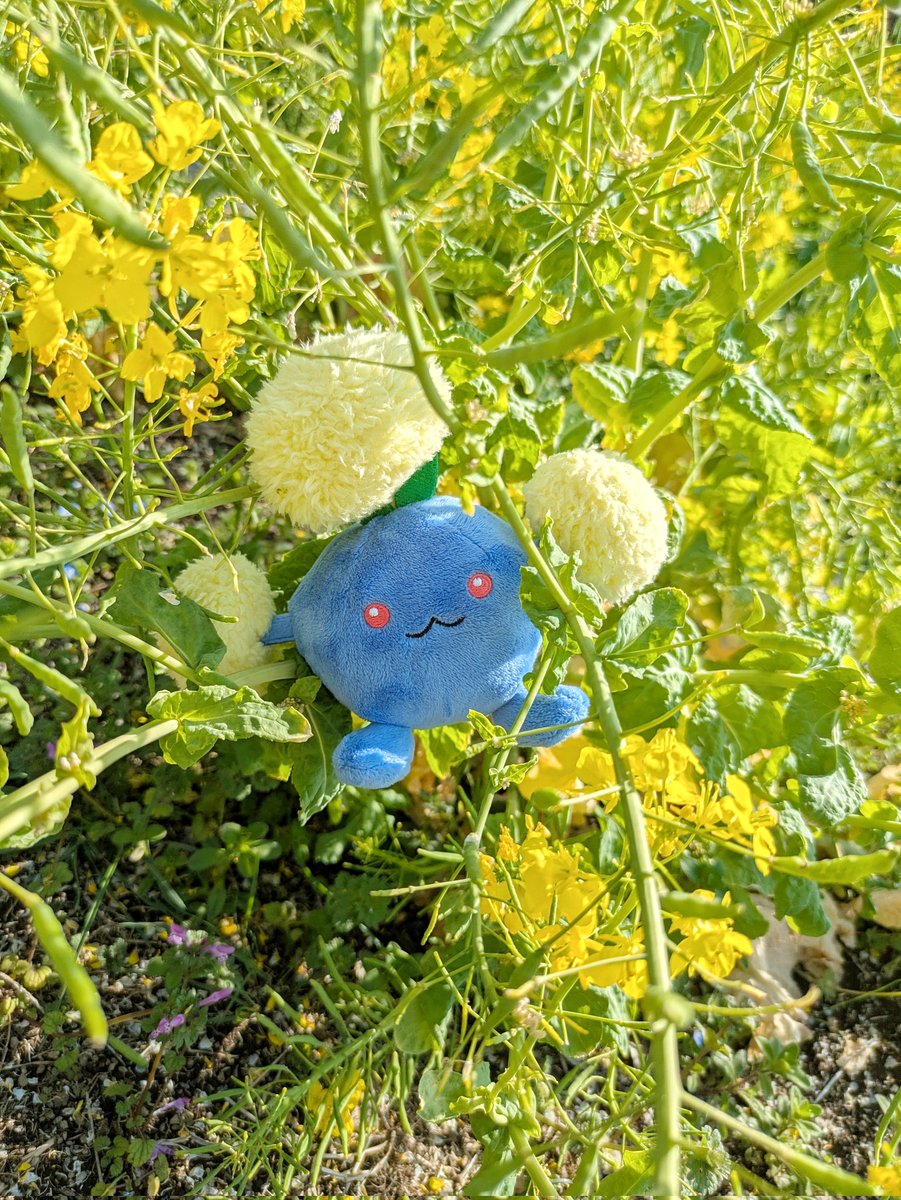 ワタッコぐらし tweet media