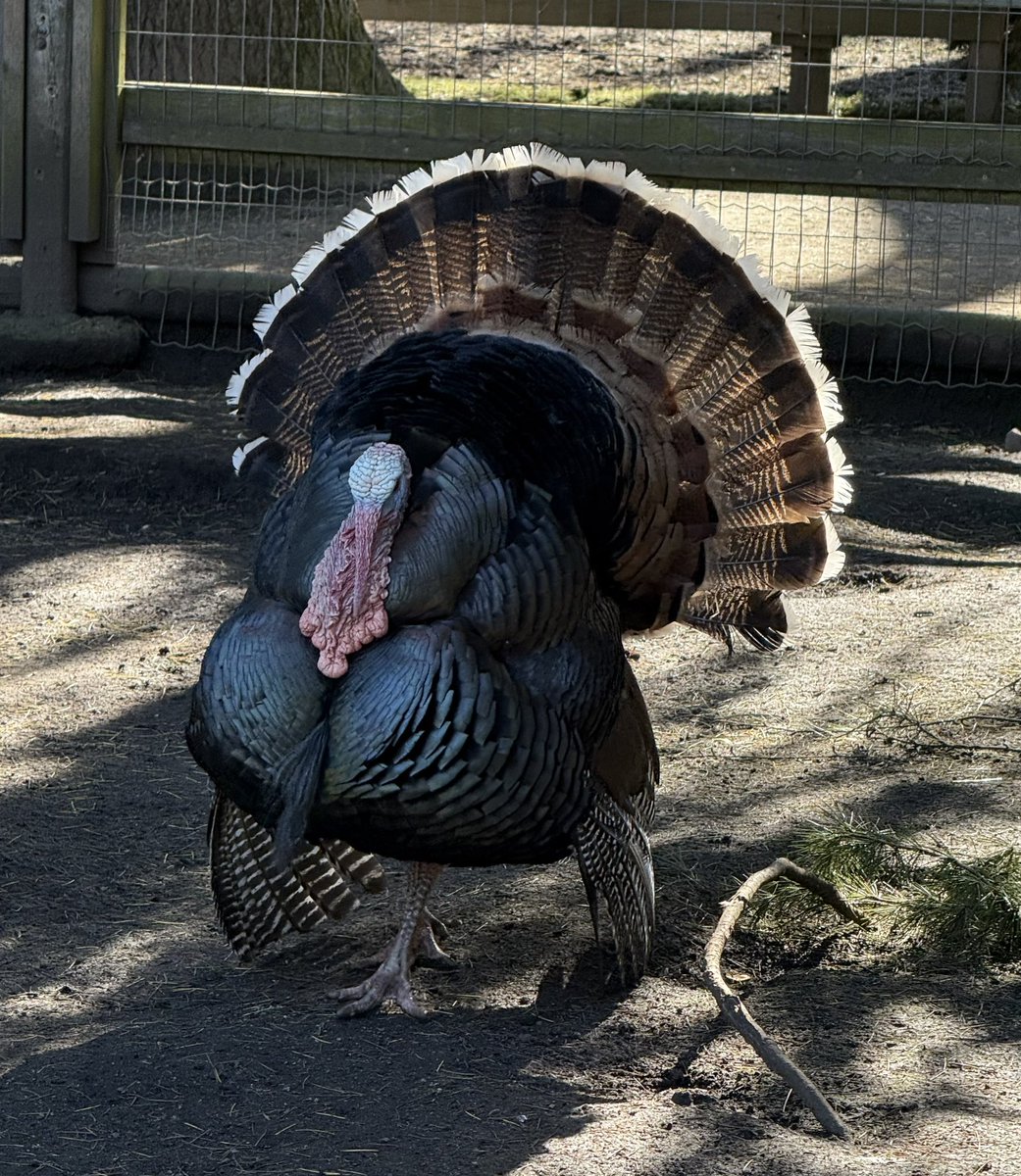 🇨🇦 Jean Paetkau 📕 tweet media