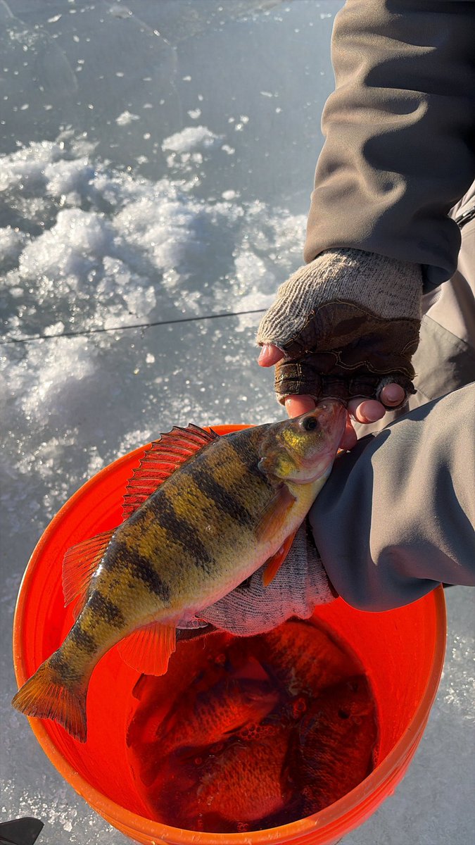 Tanner Jay Fishing tweet media