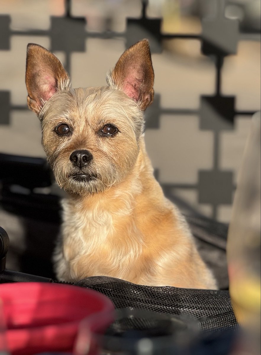 Mike Norton tweet media