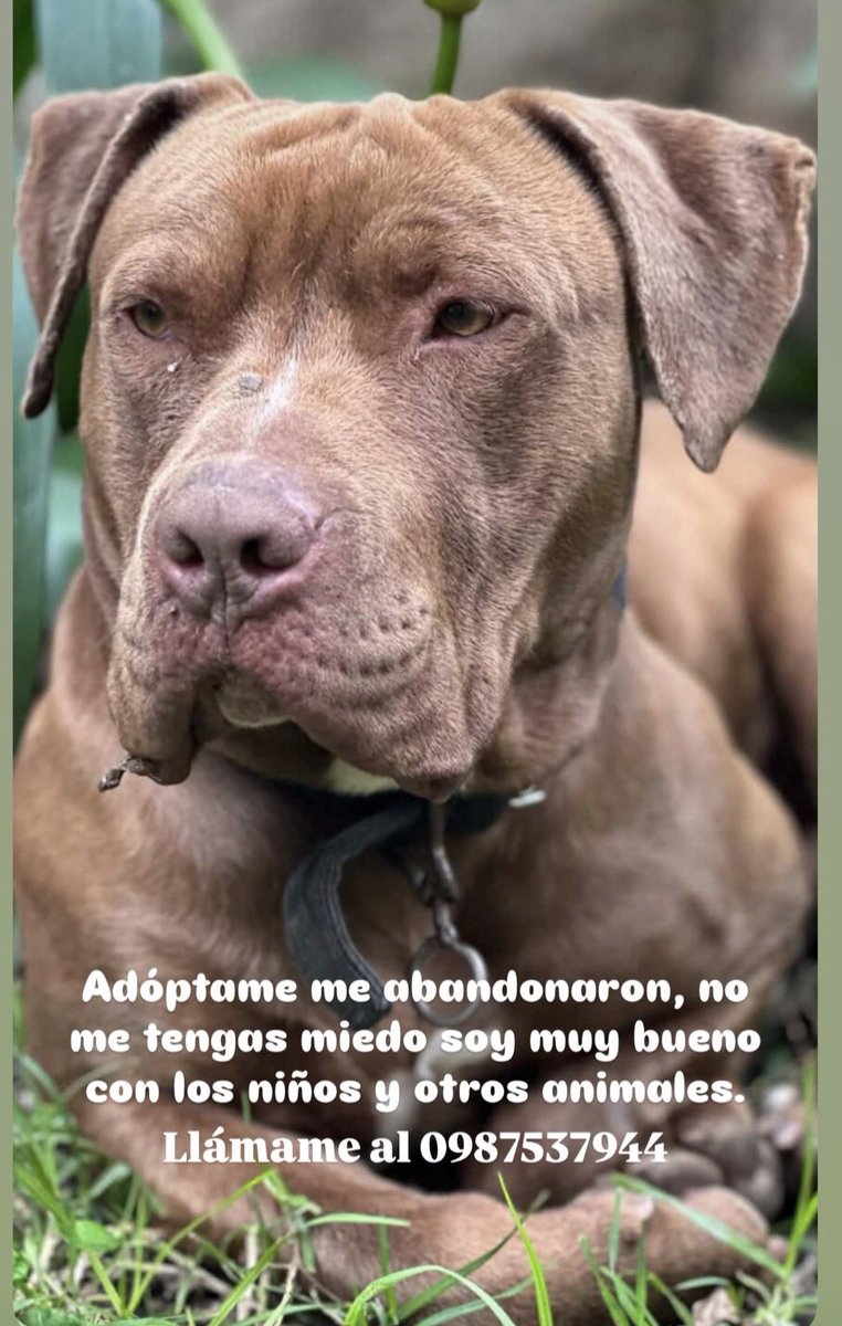 Christian Del Alcázar Ponce tweet media