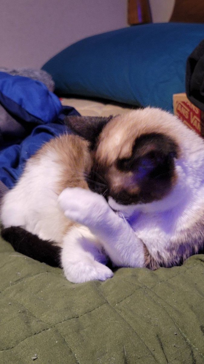 Xavier Mcgurk tweet media