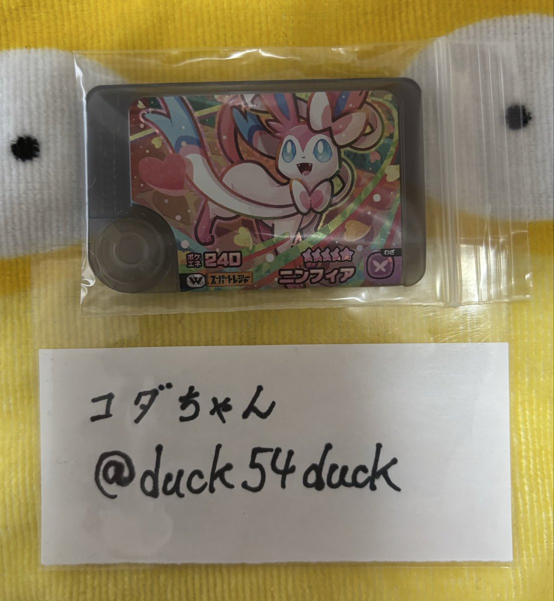 コダちゃん tweet media